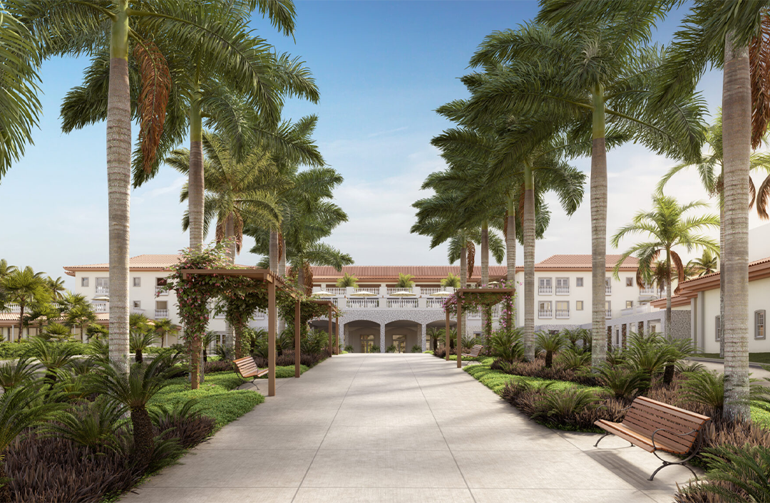 CS.SOL-ENTRADA-01-1-scaled